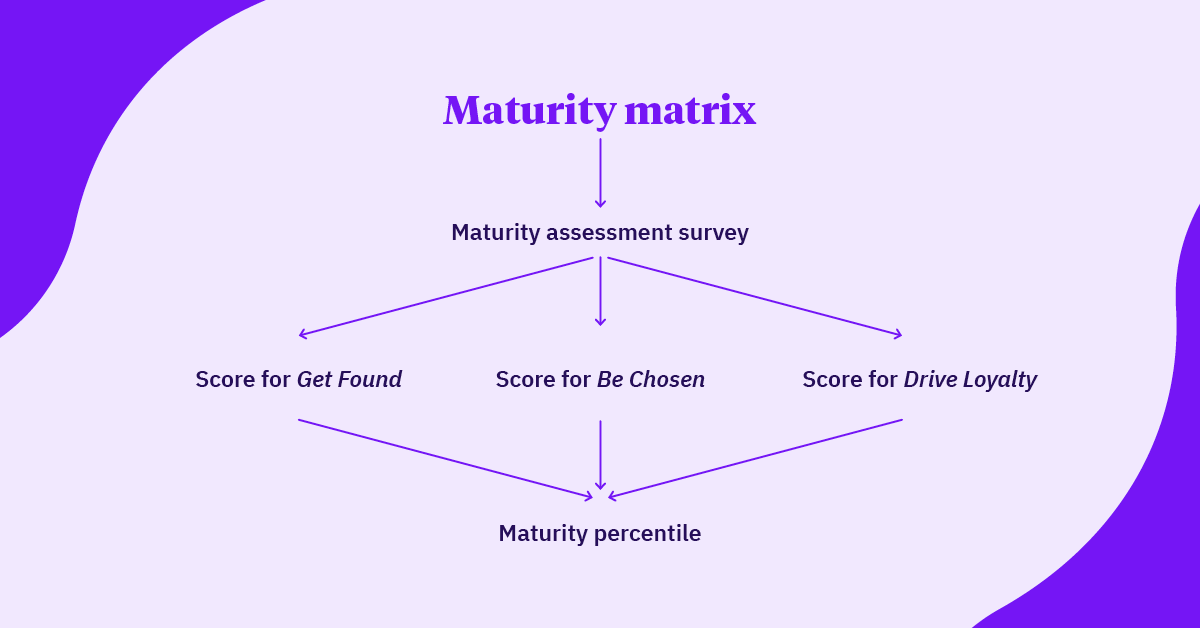 Maturity matrix