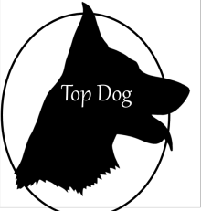 Main photo for Top Dog